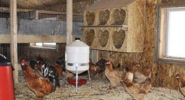 Jak vyrobit ventilační systém v kurníku vlastníma rukama?